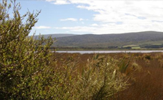 View of Lake George, with the Longwood range in the distance (standing on wildlife reserve which section backs onto)